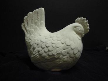 Huhn für Hahn mit gr. Schwanz