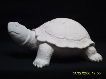 Schildkröte (Deckel zum abnehmen)